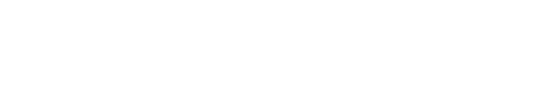 Flashmark brand wordmark logo in white on a transparent background